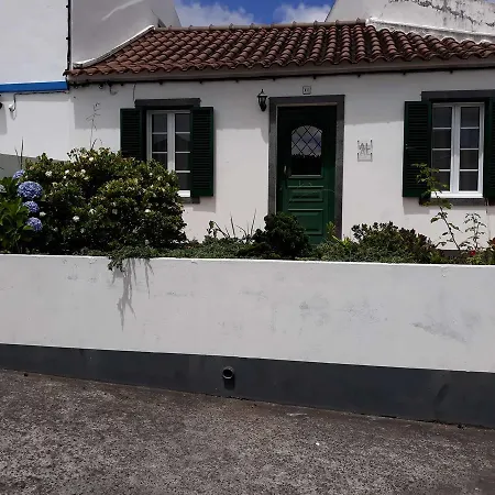 Azores Exotic *